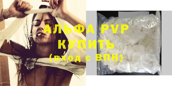 стаф Володарск