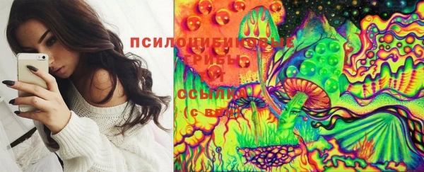 стаф Володарск