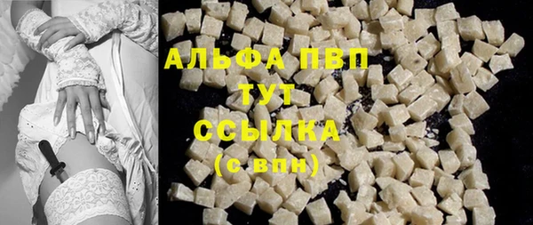 стаф Володарск