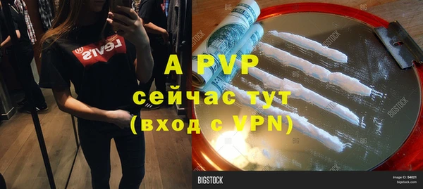 стаф Володарск