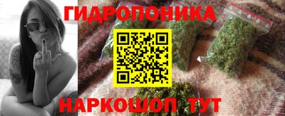 прущие грибы Аргун