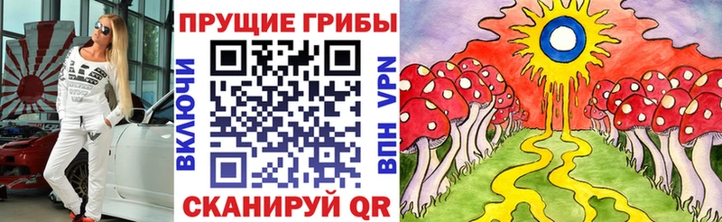 где купить наркоту Наро-Фоминск Галлюциногенные грибы прущие грибы