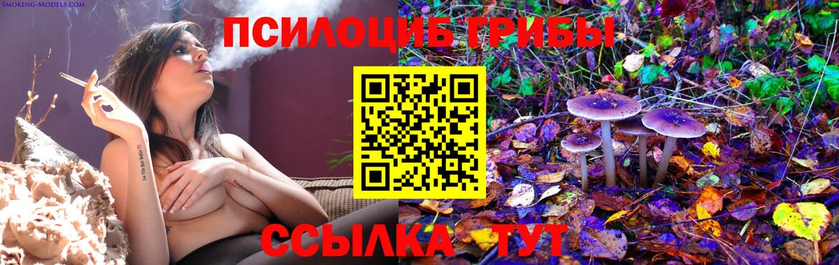 Псилоцибиновые грибы мухоморы  Вход с VPN  Псилоцибиновые грибы Psilocybine cubensis  Наро-Фоминск 