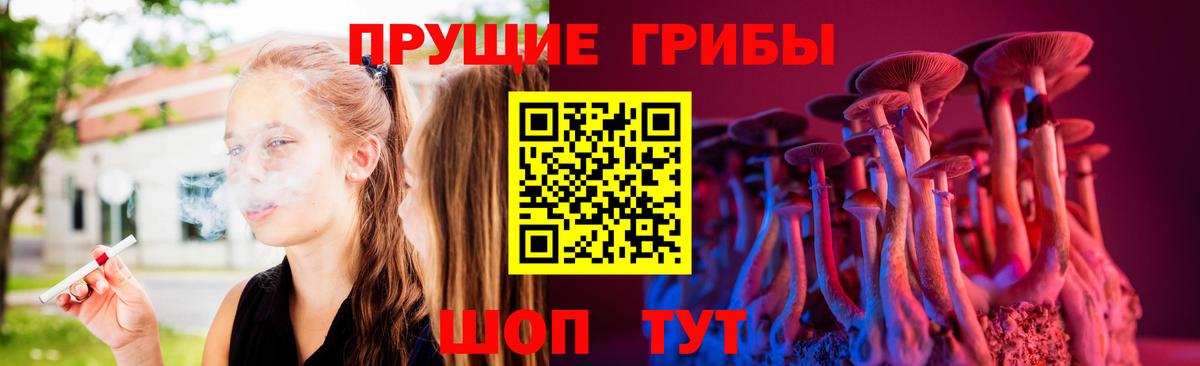 Псилоцибиновые грибы GOLDEN TEACHER  как найти   Наро-Фоминск 